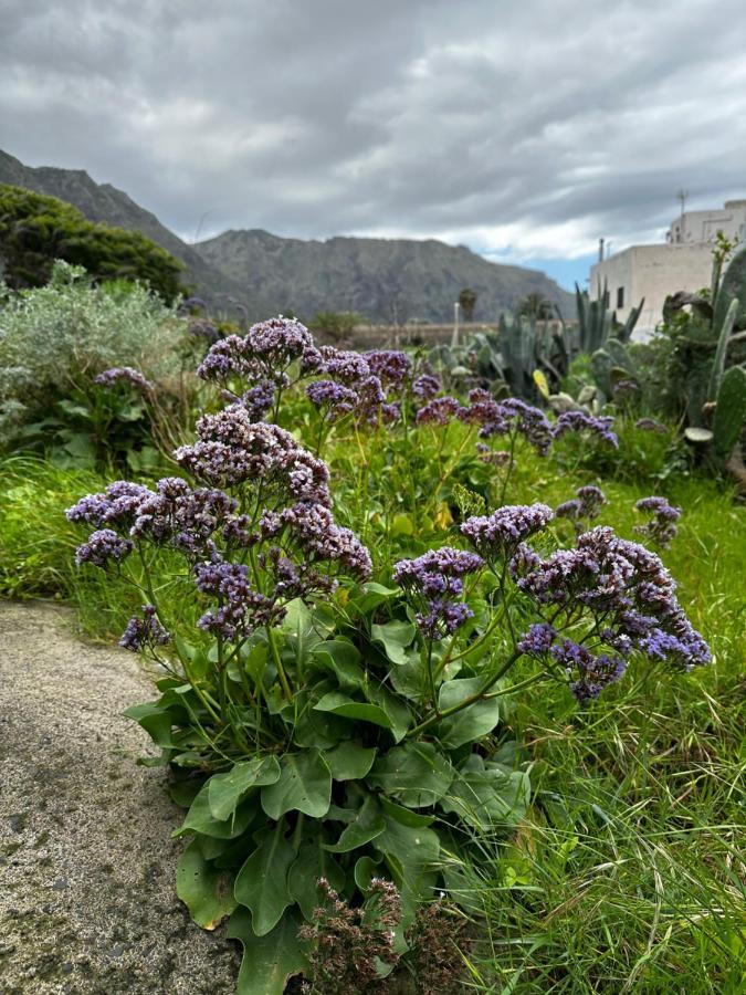 Aventura En Buenavista Del Norte Eksteriør billede