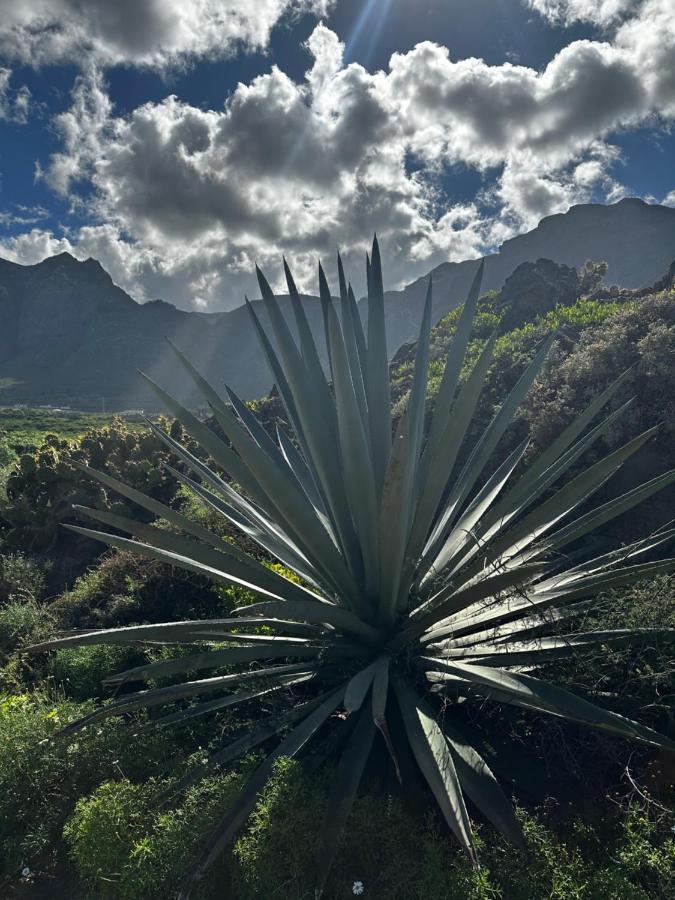 Aventura En Buenavista Del Norte Eksteriør billede
